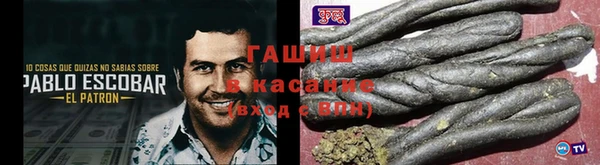 шишки Корсаков