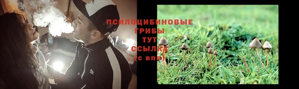 твердый Алексин
