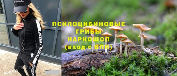 дживик Коряжма