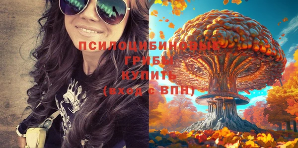2c-b Алексеевка