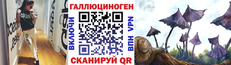 Галлюциногенные грибы мухоморы  где купить наркоту  blacksprut зеркало  Болхов 